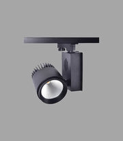 30w Monofaze Ray Spot COB Led IZMONIA